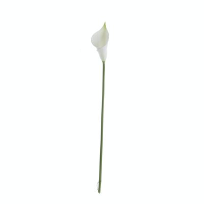 Calla real touch, lunga 50cm - Bianca