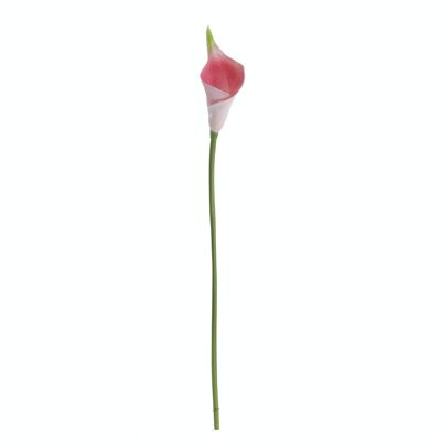 Real touch calla, 50cm long - Light pink