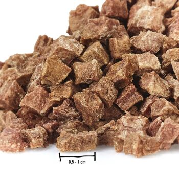 prodige | Snacks pour chien 100% filet (canard) lyophilisé en cubes 2