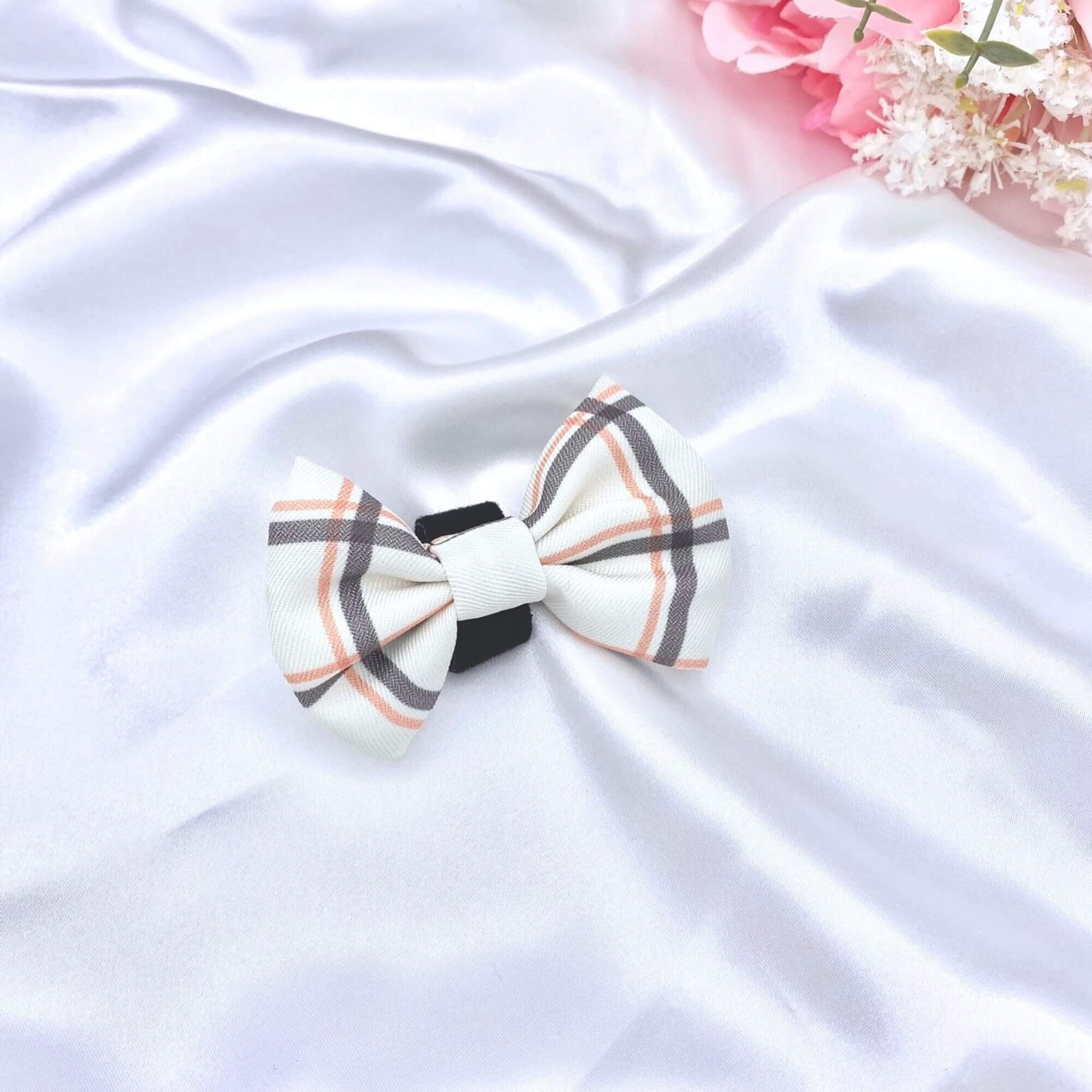 Torna alle origini Fiocco per cani