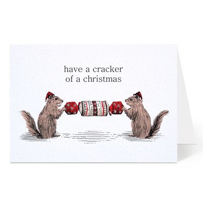 Eichhörnchen mit Cracker-Weihnachtskarte