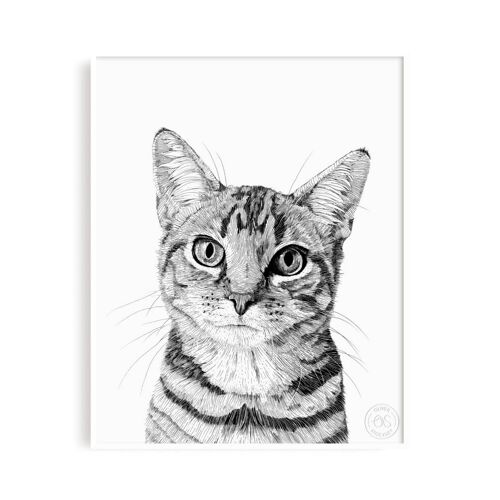 Tabby Cat - 8x10" Print