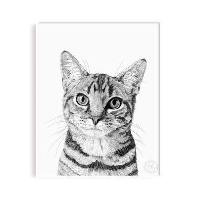 Getigerte Katze - 8x10" Druck