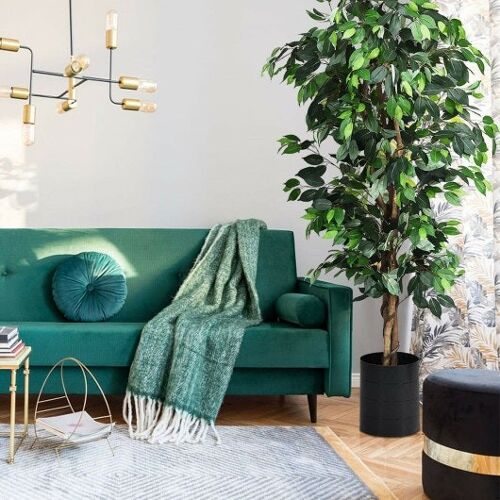 6 Fuß künstlicher Ficus Seidenbaum