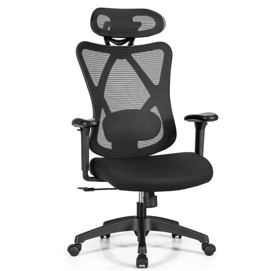 Duramont ergonomic adjustable office chair with online lumbar support