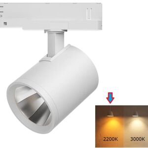 Spot LED triphasé 20w Blanc 2200K Doré Chaud