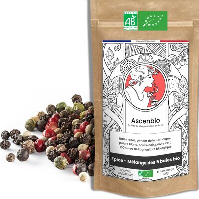 Spice - Blend of 5 organic berries