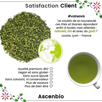 Thé vert - Matcha Genmaicha bio 2