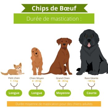 Chips de Bœuf 4