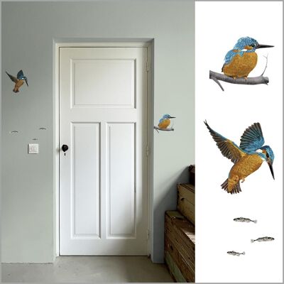 Kingfishers Wall Stickers