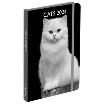 Agenda - Cats N&B - Janvier 2024 à Decembre 2024 1