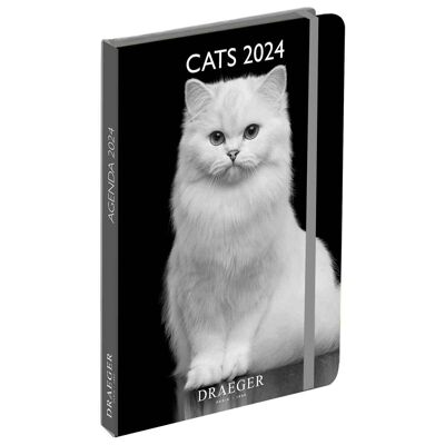 Agenda - Cats N&B - Janvier 2024 à Decembre 2024