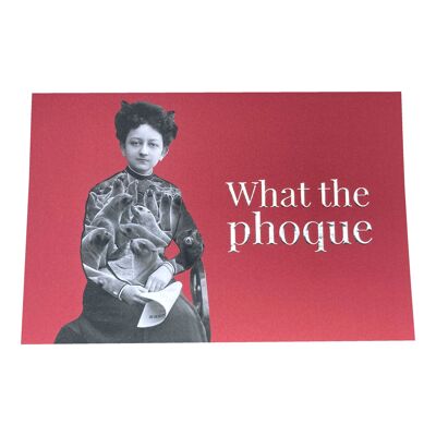 Carte - Phoque