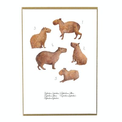 Chill of Capybaras Kunstdruck