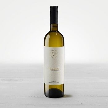 Vin blanc D.O. Ribeira 2022