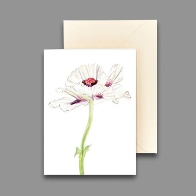 Greeting card white poppies