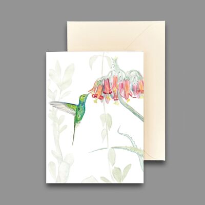Greeting card hummingbird