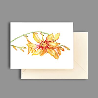 Greeting card falling star