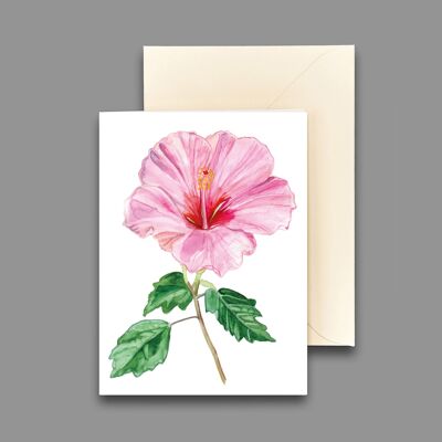 Greeting card hibiscus pink