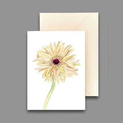 Greeting card gerbera off-white