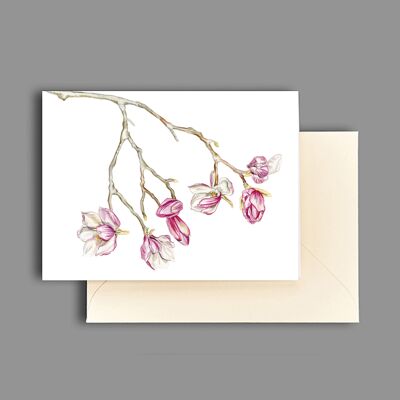 Branche de magnolia de carte de voeux