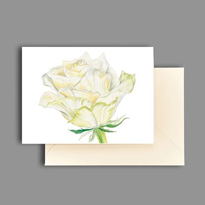 Carte de voeux fleur de rose blanche