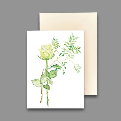 Greeting card white rose with branch