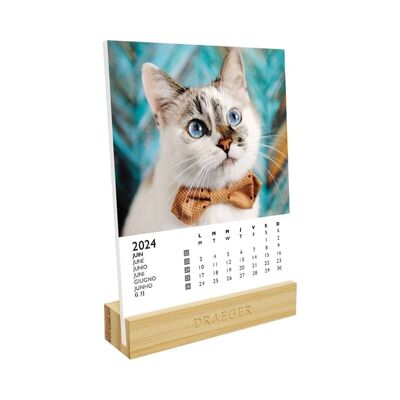 Calendar on Base - Cats - January 2024 to December 2024