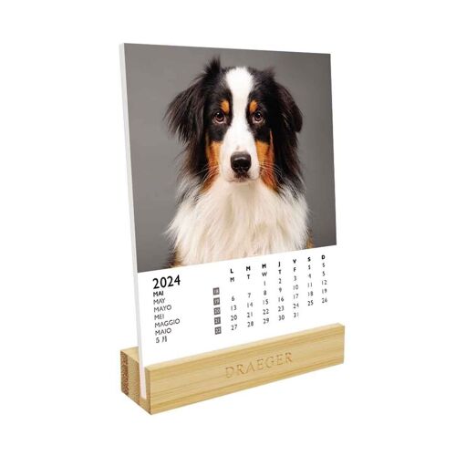 Calendrier sur Socle - Dogs - Janvier 2024 à Decembre 2024