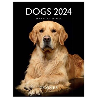 Small Calendar - Dogs - September 2023 to December 2024