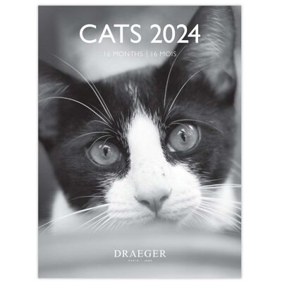 Calendario Pequeño - Gatos B&N - Septiembre 2023 a Diciembre 2024