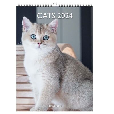 Kalender – Katze – Januar 2024 bis Dezember 2024