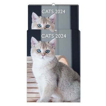 Calendrier - Cat - Janvier 2024 à Decembre 2024 4
