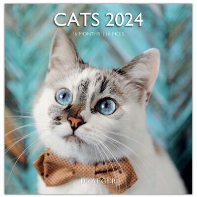 Large Calendar - Cats - September 2023 to December 2024