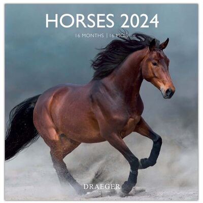 Large Calendar - Horses - September 2023 to December 2024