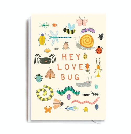 Greeting Card - DO143 LOVE BUG