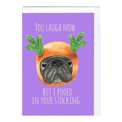 Greeting Card - JA2048 XMAS POOED IN YOUR STOCKING