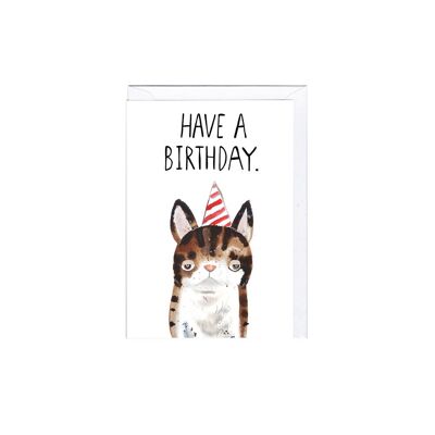 Greeting Card - JA2114 BIRTHDAY CAT