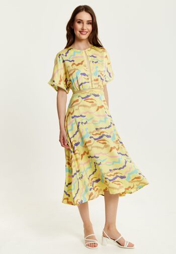 Liquorish - Robe mi-longue à imprimé zèbre abstrait avec détail en tulle - Jaune 2