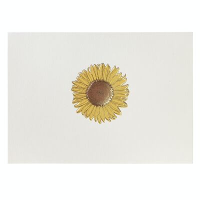 Sunflower - Boxed Notecards