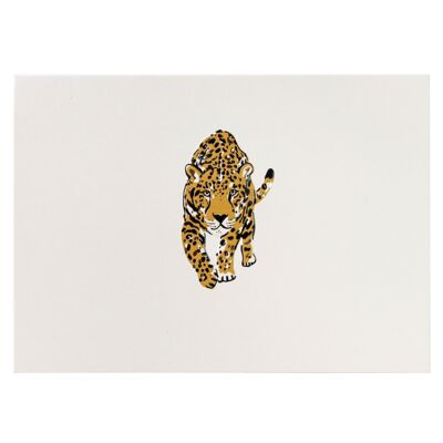 Leopard- Boxed Notecard