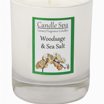 Vela de lujo Woodsage & Sea Salt en vaso de 20 cl