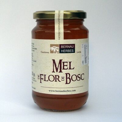 Forest flower honey 500gr. Bernau Herbes
