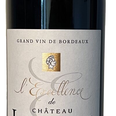 L'eccellenza di Château Lamartine 2020, Castillon Côtes de Bordeaux 75cl