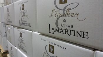 L'Excellence de Château Lamartine 2020, Castillon Côtes de Bordeaux 75cl 2