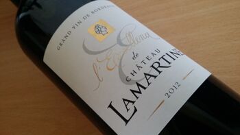 L'Excellence de Château Lamartine 2020, Castillon Côtes de Bordeaux 75cl 3