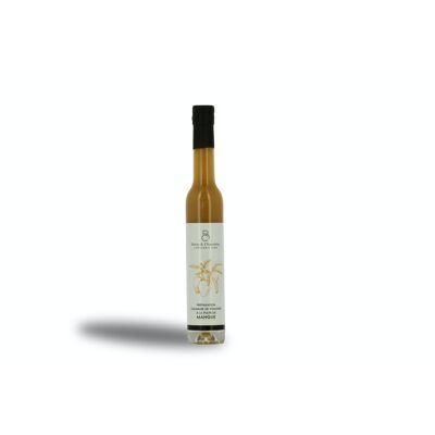 Vinagre especial con pulpa de Mango - 200 ml