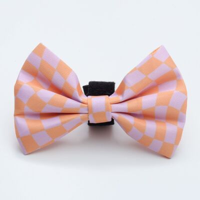 Tutti Fruity Bow Tie