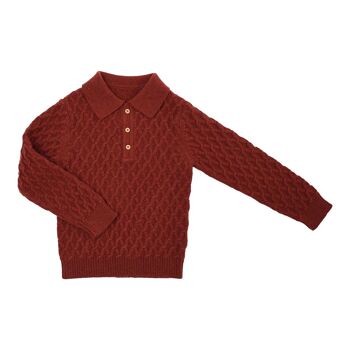 Gustave Pull polo tricot chataigne 100% laine 2