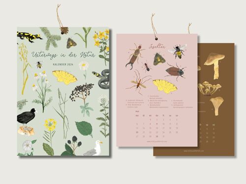 Kalender 2024 - Unterwegs in der Natur | Din A5 | Wandkalender | Natur | Pflanzen | Botanisch | Illustration | Blumen || HERZ und PAPIER